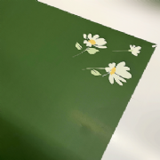 Poli Elite Daisy 58cmx58cm - Pacote c/25 folhas