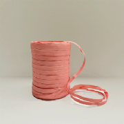 Raphia Sint�tica Maxi - 100m und