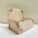 Caixa Display Flores G - Pacote c/5 und