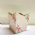Cachep Pote 15 Flores - Pacote c/10 und