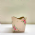 Cachep Pote 11 Flores- Pacote c/10 und
