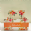 Caixa Display Felicidade G - Pacote c/5 und