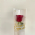 Embalagem p/1 Boto de Rosa Voc  Especial - Pacote c/100und