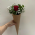 Cone Bouquet - Pacote c/10und
