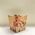 Cachep Pote 15 - Pacote c/10 und