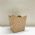 Cachep Pote 15 - Pacote c/10 und