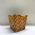 Cachep Pote 15 - Pacote c/10 und