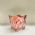 Cachep Pote 15 - Pacote c/10 und