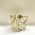 Cachep Pote 15 - Pacote c/10 und