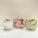 Cachep Pote 15 - Pacote c/10 und