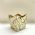 Cachep Pote 11 - Pacote c/10 und