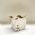 Cachep Pote 11 - Pacote c/10 und