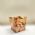 Cachep Pote 11 - Pacote c/10 und