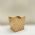 Cachep Pote 11 - Pacote c/10 und