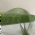 Tela Decorativa 9,5m - und